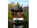 Chinese Pagoda portrait